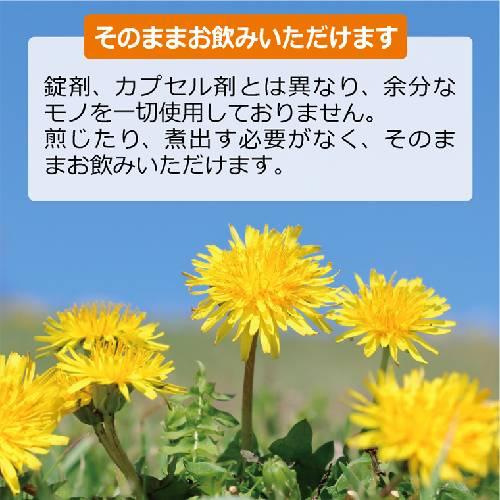 タンポポ茶 ショウキT-1PLUS1箱+無添加プレミアム玉ねぎドレッシング