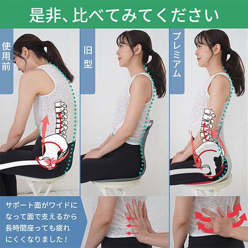 DCT 改良型・天使の椅子プレミアム 姿勢矯正・骨盤チェア ブラウン DCT-BR1000の画像