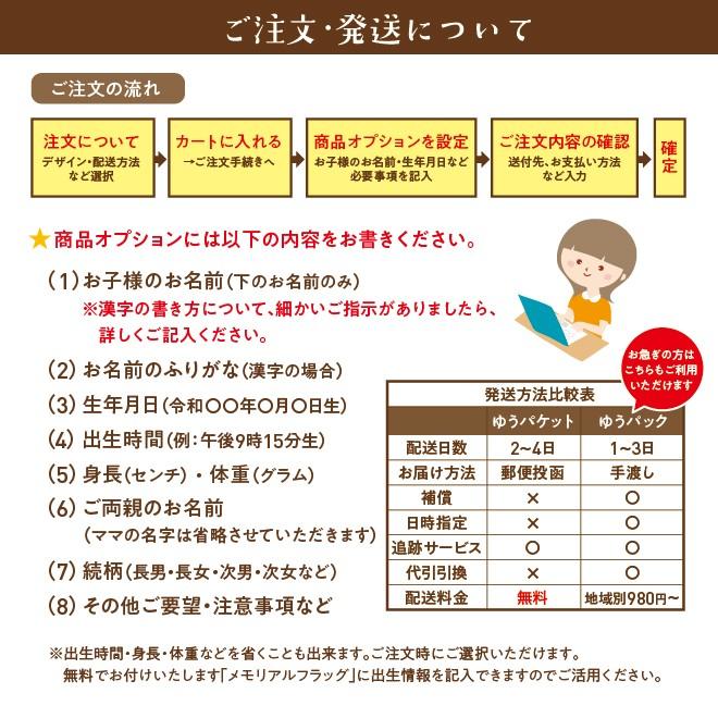 命名書 手書き オーダー 書き方 用紙 デザイン61種類 お七夜 命名 代筆 命名紙 おしゃれ ギフト セット 赤ちゃん 出産祝い 記念品｜kirari-honpo｜05