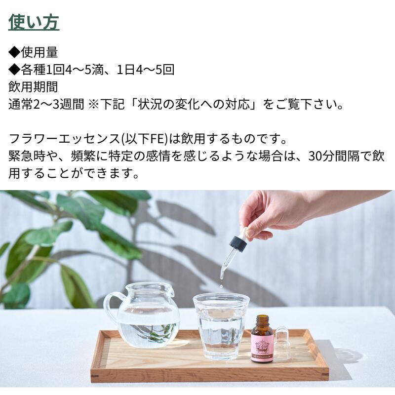 DTWフラワーエッセンスエイジレスラスター : きらり逸品堂 - 通販