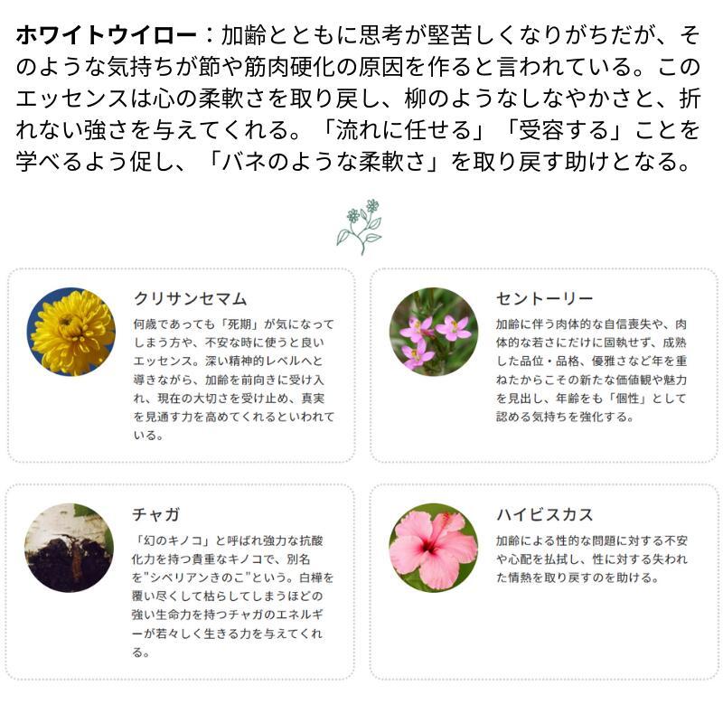 DTWフラワーエッセンスエイジレスラスター : きらり逸品堂 - 通販