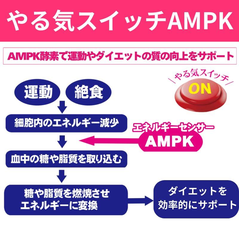メタボレイドシステイン 60粒(15〜30日分) 飲む燃焼スイッチ