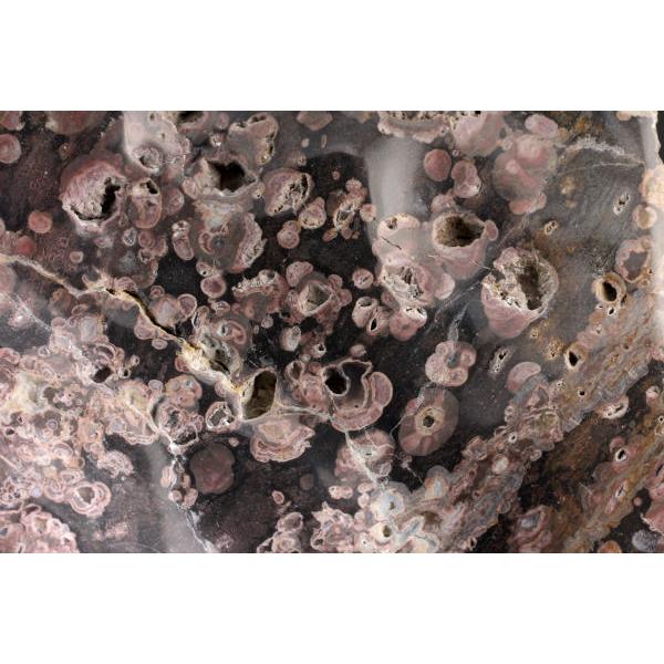 新潟産牡丹石14.8キロ鑑賞石石置物オブジェインテリア菊花石