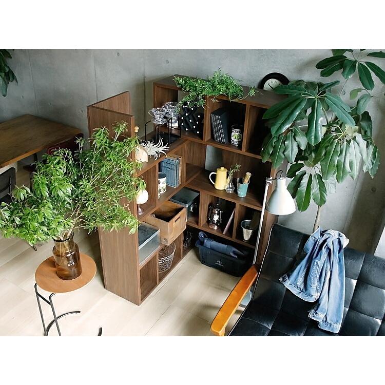 スライドシェルフ Vapaus（バポス）Lサイズ ラック シェルフ 伸縮 角度