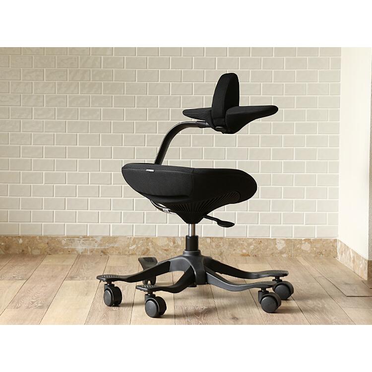 iPole5 アイポール ウリドルチェア