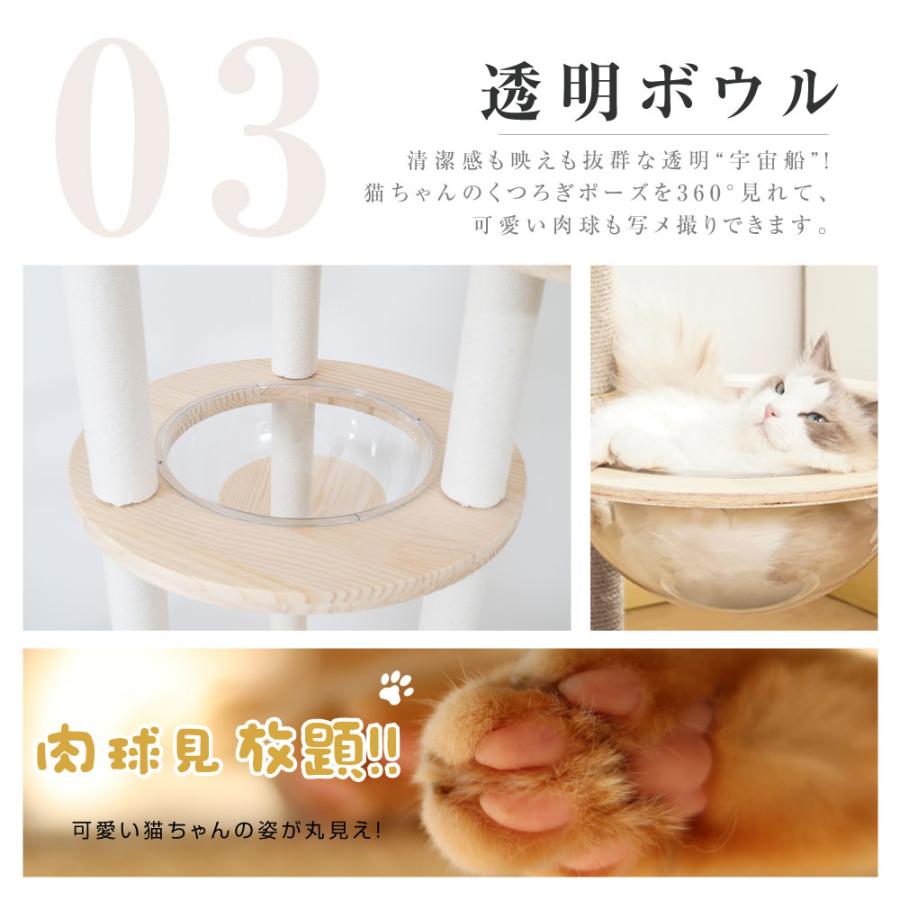 猫ちゃん　無一物120P ikoapetfood_4901202802255-40