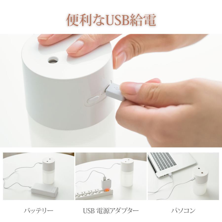加湿器 小型 卓上 ミニ加湿器 2吹出口 USB給電式 軽量 静音 270ml 乾燥
