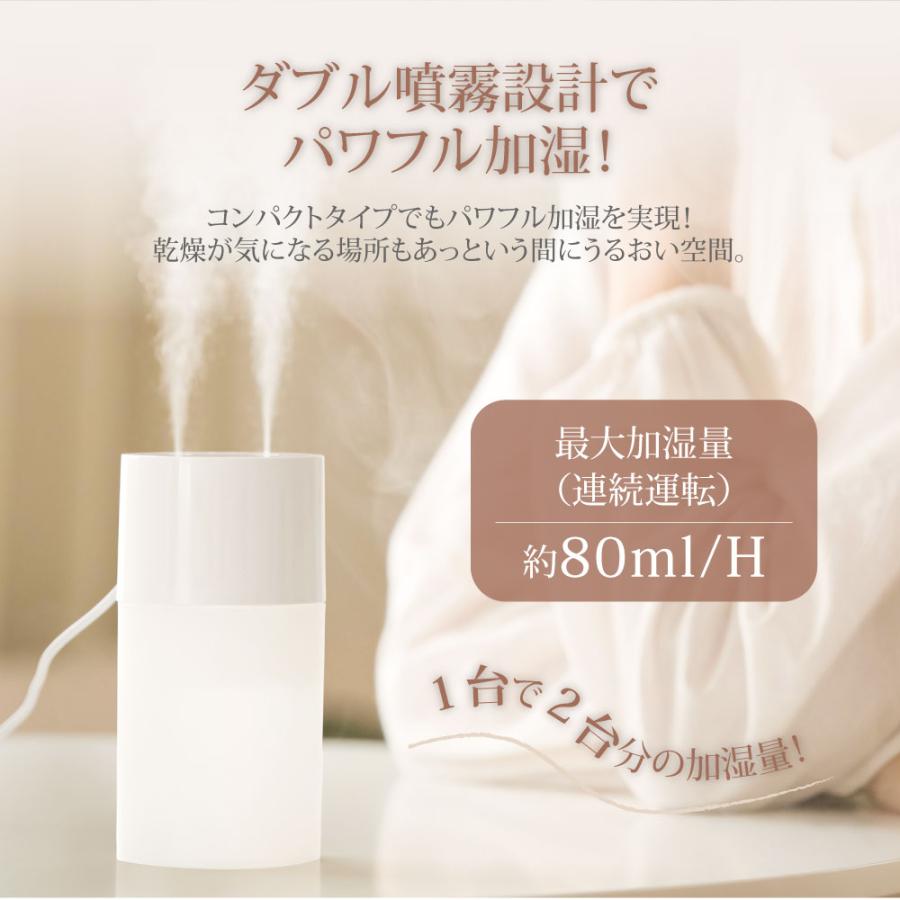 加湿器 小型 卓上 ミニ加湿器 2吹出口 USB給電式 軽量 静音 270ml 乾燥