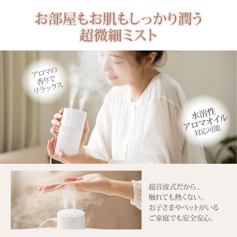 加湿器 小型 卓上 ミニ加湿器 2吹出口 USB給電式 軽量 静音 270ml 乾燥