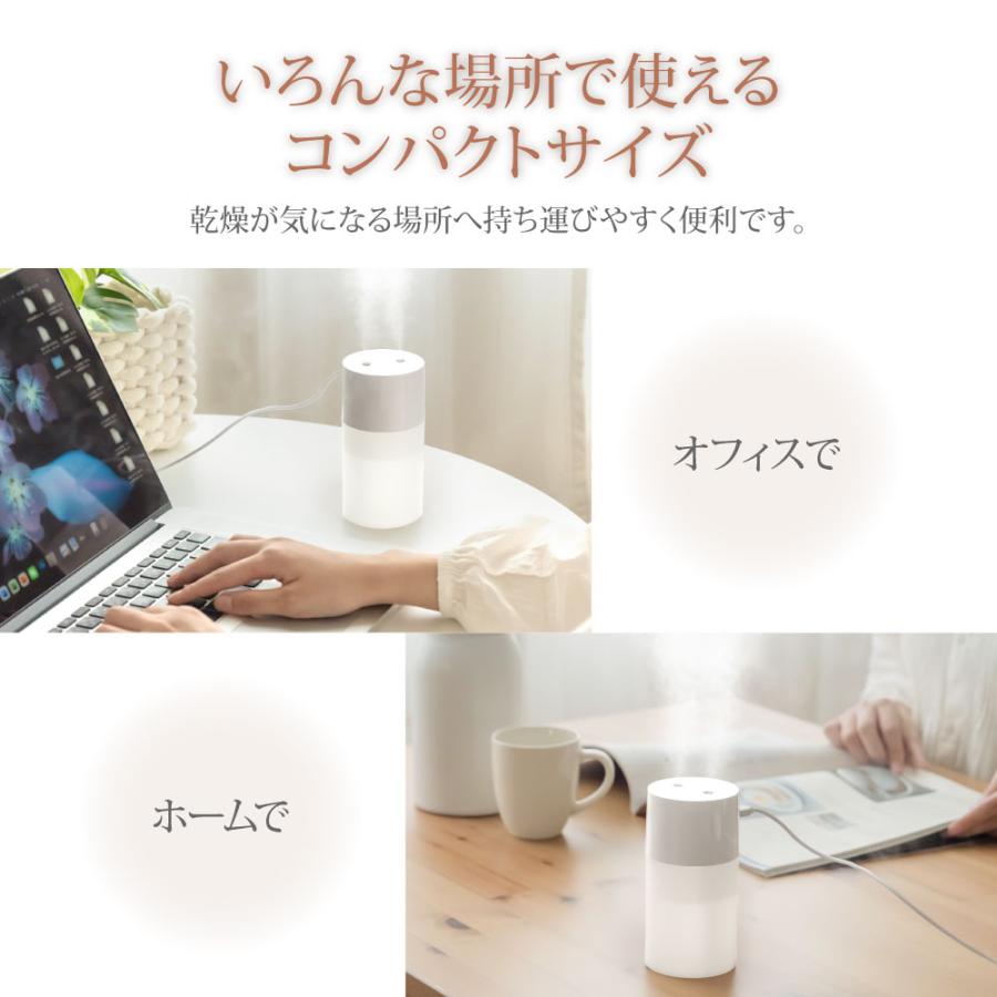 加湿器 小型 卓上 ミニ加湿器 2吹出口 USB給電式 軽量 静音 270ml 乾燥