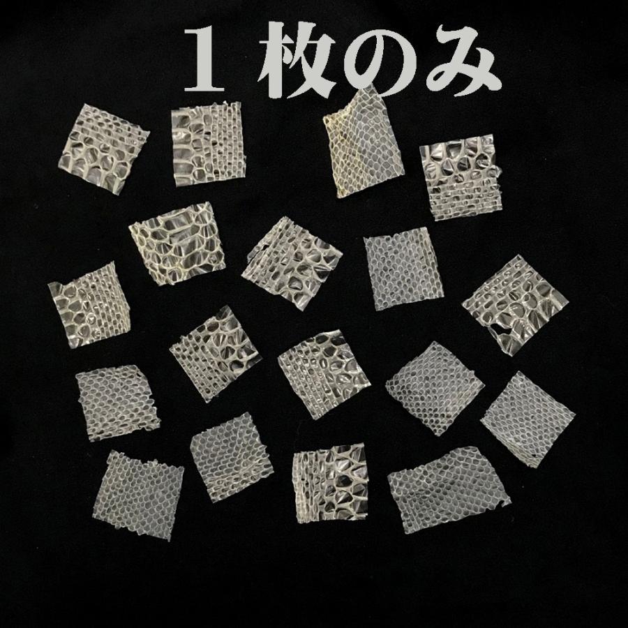 さーちん様★専用★金運アップ✡️勾玉型 金黒蛇石 白蛇の脱け殻付き 最強 金運財運アップ「蛇のお札」「白蛇の抜け殻」「ゴールド