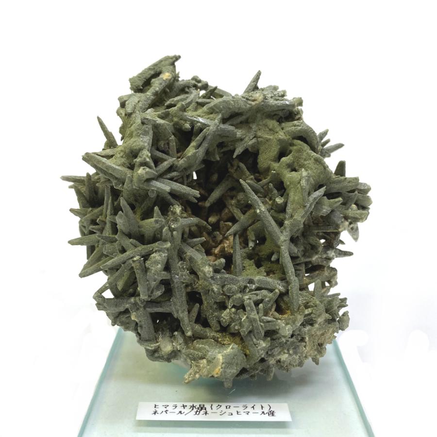 ガネーシュヒマール産 ヒマラヤ水晶 クラスター（クローライトIN