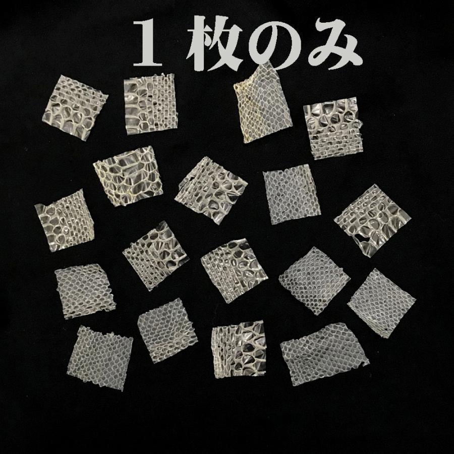 おばちょり様★専用★財運アップ✡️金蛇石 白蛇の脱け殻付き 最強の金運財運アップ「蛇のお札」「白蛇の抜け殻」｢ゴールド