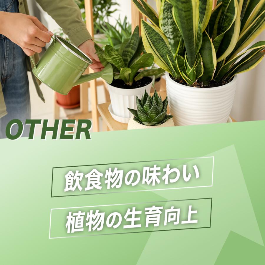 限定特典付】クルミラ フェニックス CLEMIRA phoenix 正規品 健康