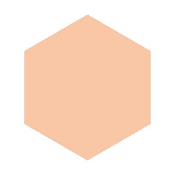 INTEGRATE 資生堂認定ショップ 資生堂 インテグレート プロ