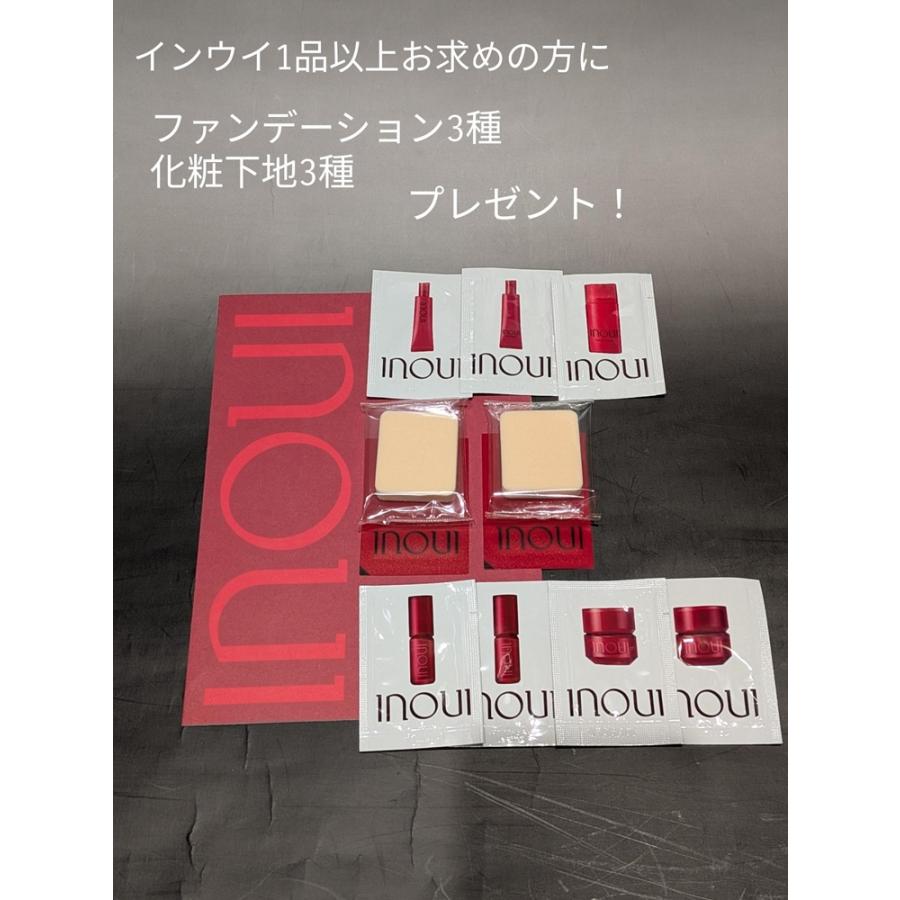 inoui インウイ セット売り SHISEIDO（資生堂） 資生堂認定ショップ インウイ アイズ 10 本体