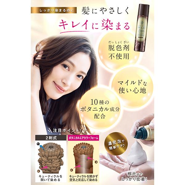 FUTURE LABO（フューチャーラボ） ヘアボーテ エクラ ボタニカルエア