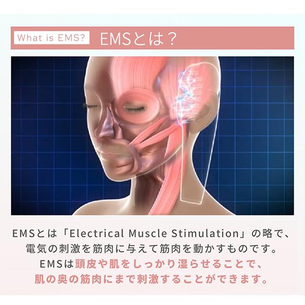 myse ミーゼ スカルプリフト プラス ポーチ付 美顔器 リフトケア