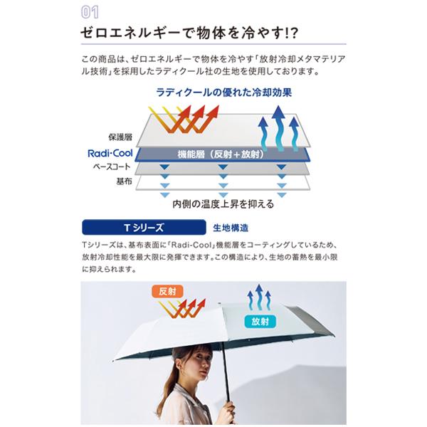 estaa（エスタ） 【ポイント10倍】エスタ ラディクール冷却60ミニ