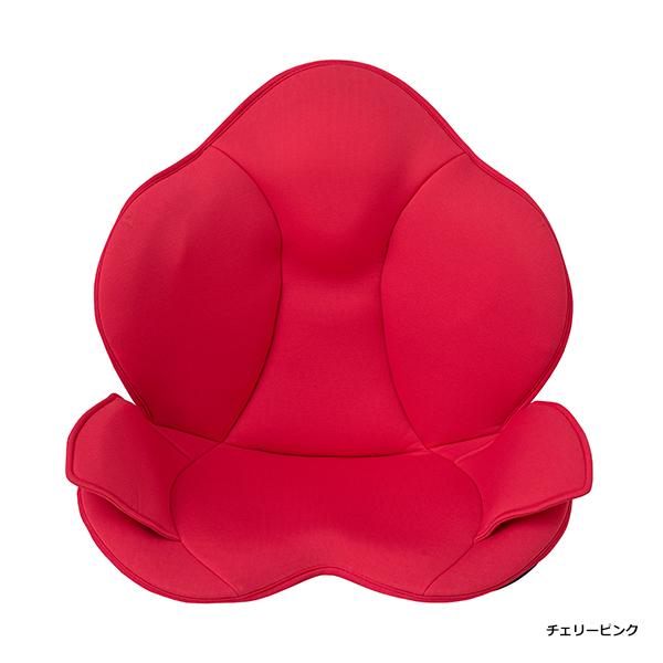 【美品】芦屋美整体　骨盤スリムスタイリー 骨盤スリムスタイリーエアー | 芦屋美整体｜公式サイト