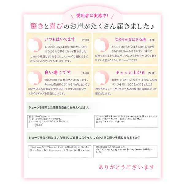 補正下着 芦屋美整体 骨盤スリムスタイルショーツ 2枚組 オーキッド 芦屋美整体 正規品 H B きれいみつけたyahoo 店 通販 Yahoo ショッピング