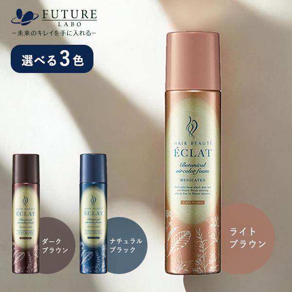 ヘアボーテ エクラ 白髪染め 10箱