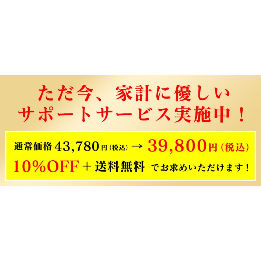 2024年も人気モデルの低速ジューサー! クビンス スロージューサー Kuvings EVO-800　日本の狭いキッチンに適した、最も使い勝手のいい最新型【メーカー正規品】｜kirei-shop｜05