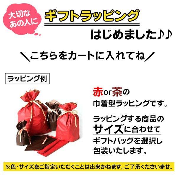 洋服カバー ロング 50枚セット 日本製 クローゼット 収納 衣類カバー