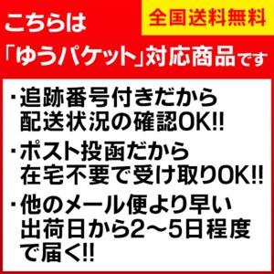 キッチンゴム手袋 左右兼用 薄型 家庭用ゴム手袋 10枚入り ゴム手袋 薄型 手荒れ キッチン 丈夫 スベリ止め加工 掃除 園芸｜kirei-supple｜10