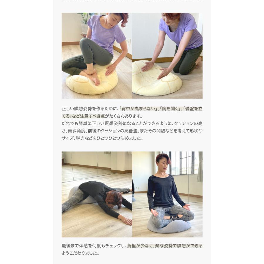 tr0711 未使用品 プロイデア アイランドクッション 2個 姿勢サポート 楽天市場】《2000円クーポン配布中》【選ぶ景品付き