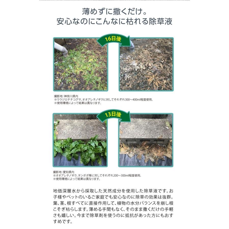 庭師さんのミネラル除草液 2l 除草剤 無農薬 人畜無害 液体 雑草駆除剤 雑草対策 子供やペットにも安心 安全 非農耕地用 Dmf 0070 3581 キレイサプリ 通販 Yahoo ショッピング