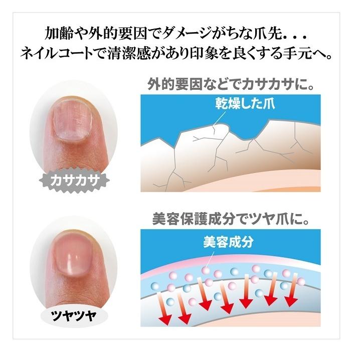 ネイルコート メンズ Bro For Men Nail Coat 男性用 マニキュア クリア マットクリア 透明 ツヤツヤ つや消し ネイルケア 爪 ケア 保護コート 日本製 Gt キレイサプリ 通販 Yahoo ショッピング