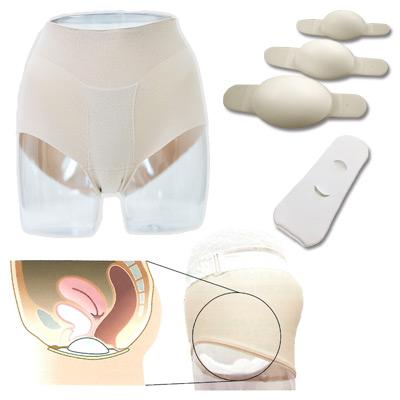 フェミクッションスターターキット ミディ【一般医療機器】 : 11288xx  