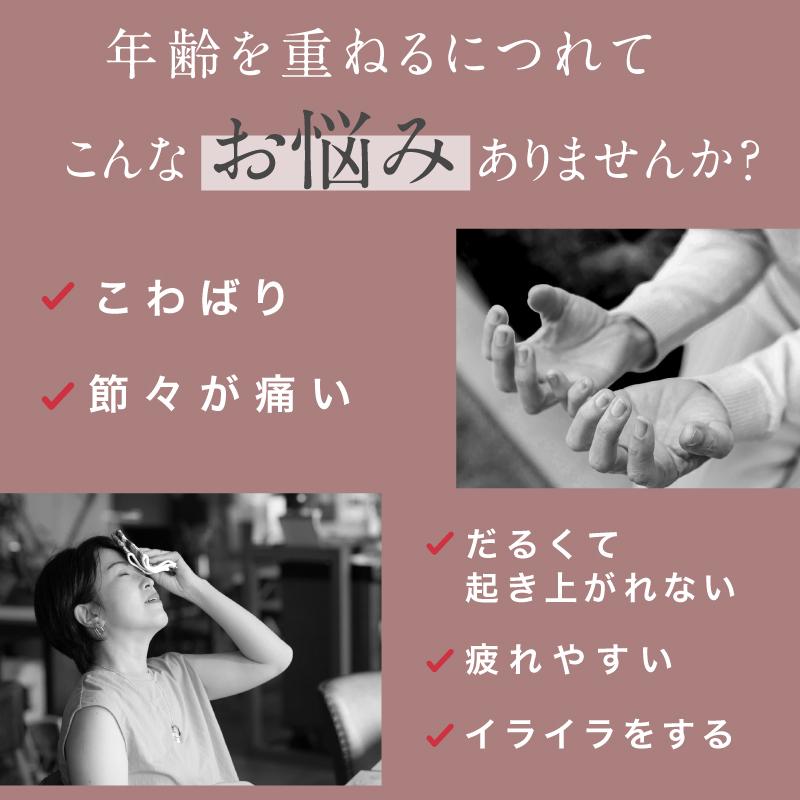 エクオールin乳酸菌　ディーエヌラボ　アスカコーポレーション　３袋セット エクオールin乳酸菌 ディーエヌラボ アスカコーポレーション 3