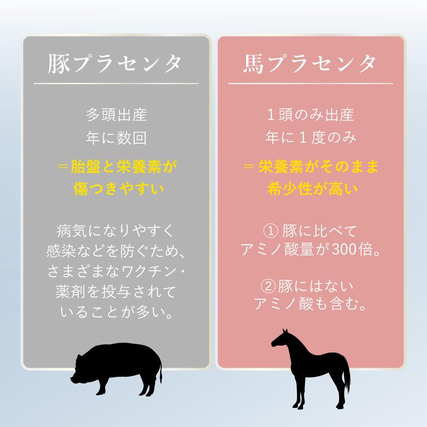 公式】 プラセンタ サプリルナプラセンタ(1袋60粒入) 【1粒250mgトップ