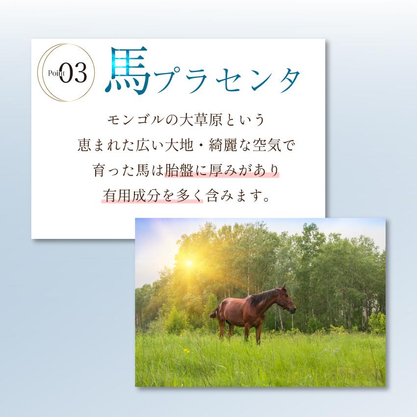 専用　プラセンタ 公式】 プラセンタ サプリルナプラセンタ(1袋60粒入) 【1粒250mgトップ