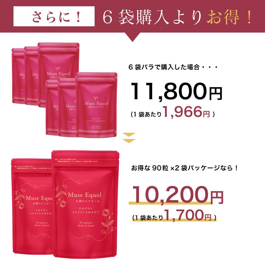 イソフラボン サプリメント 6袋 日本製