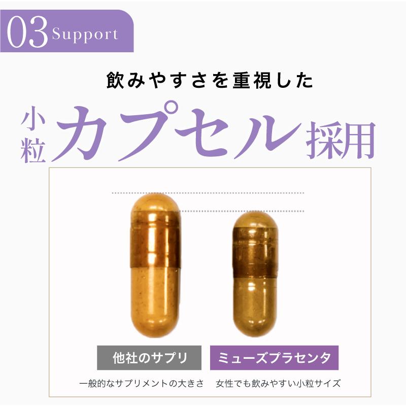 ビューティーモール　馬プラセンタ　35枚セット 楽天市場】【毎月第一日曜日！・限定セール】【20枚入り】【10