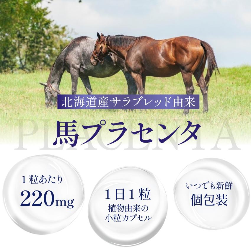 ☆ふじ☆キレイデ プラセンタ 30球×5箱セット 馬プラセンタ 公式】キレイ・デ・プラセンタ エクソソーム（30粒）プラセンタ サプリ