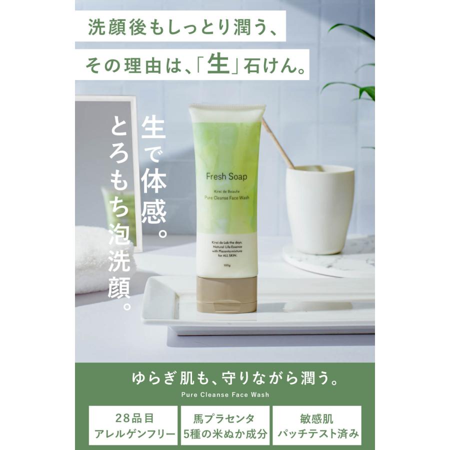 公式】敏感肌洗顔ソープ フレッシュソープ（100g×2本）プラセンタ
