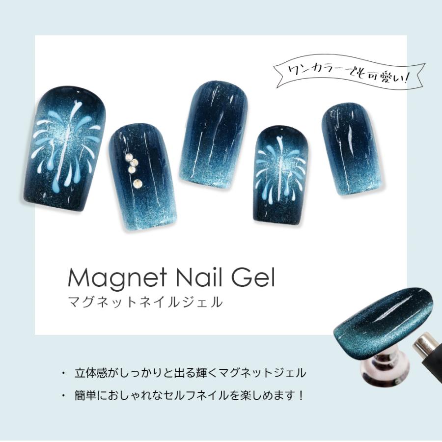 Petitor ジェルネイル マグネットネイル 大容量 5g プチプラ