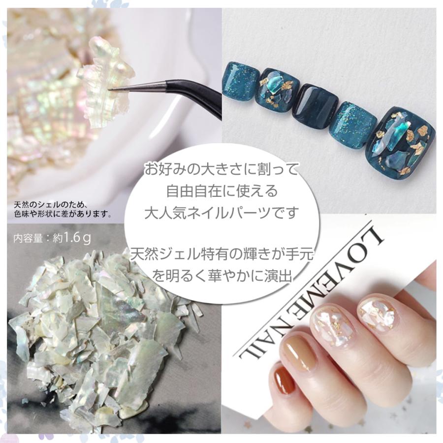 Petitor ジェルネイル 天然貝シェル 12色セット ネイルパーツ
