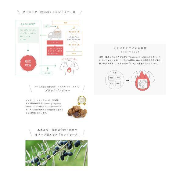サポートスリム バーニング（350mg×180粒入) : きれいになーれ - 通販