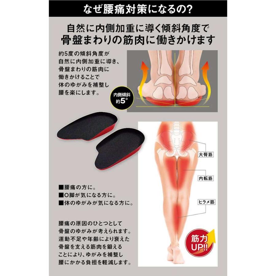 Kinkatsu脚腰エクサインソール 腰痛 腰痛対策 骨盤 骨盤まわり ｏ脚 ゆがみ 運動不足 筋肉 鍛える 筋力ｕｐ インナーマッスル インソール 伸びる エクササ Ku5 Soru きれいになーれ 通販 Yahoo ショッピング