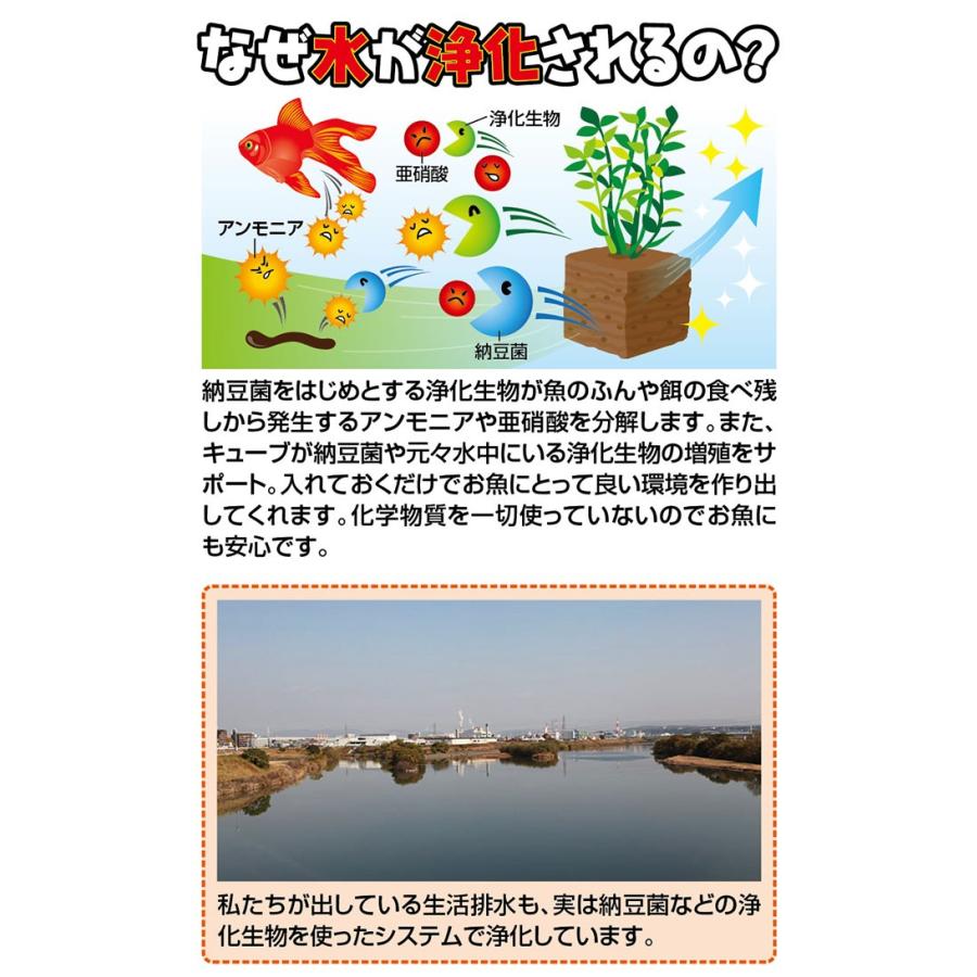お魚天国バイオキューブ 定形外郵便で送料無料 送料込価格 水槽 汚れ 汚い 冬寒い 水槽 金魚鉢に入れるだけ 簡単 きれいな水を保つ 透き通った水 T Biocube きれいになーれ 通販 Yahoo ショッピング