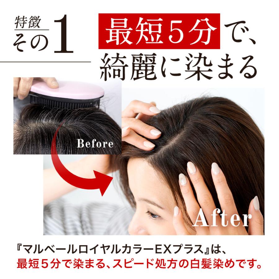 マルベール ロイヤルカラーEXプラス（ダークブラウン）【2箱セット】【正規品】 マルベールロイヤルカラーEXプラス【白髪染め・医薬部外品】定期