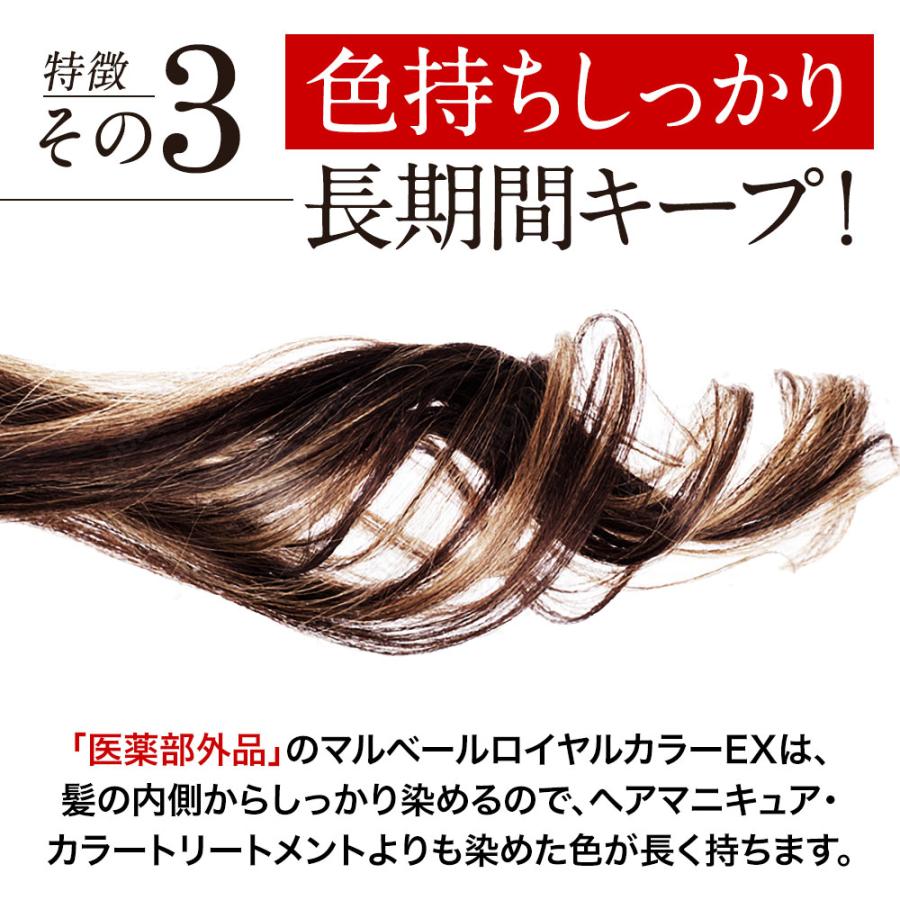 マルベール　ロイヤル カラー アミノプラス　ダークブラウン　2箱 マルベール ロイヤルカラー アミノプラス（ダークブラウン