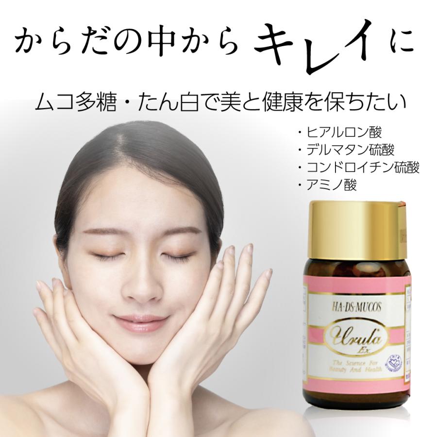 健康食品 ムコ多糖 サプリ コンドロイチン・グルコサミン配合サプリ Un s歩楽錠 通販サイト 漢方サロン アクシスアン あったかショッピング