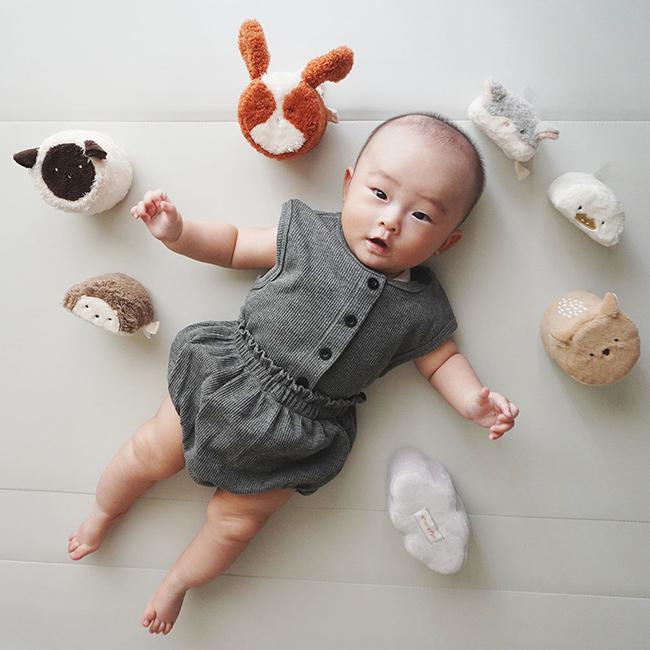 amanoppo あまのっぽ もちふわブロック ふわふわ＋森の新しいお