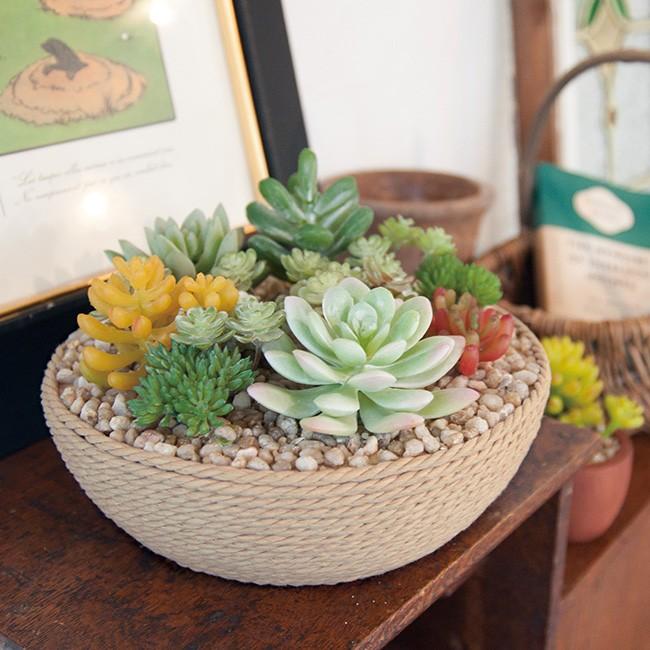 エクリア 消臭アーティフィシャルグリーン フェイクグリーン おしゃれ インテリア 観葉植物 造花 多肉植物 グリーン 植物 Ae242 キレイスポット 通販 Yahoo ショッピング